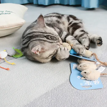 Catnip Fare Kedi Oyuncak İnteraktif Polar Peluş Simülasyon Fareler Kedi tırmalama oyuncağı Diş Temizleme Kendinden Yapışkanlı Oyuncaklar Kediler Yavru için