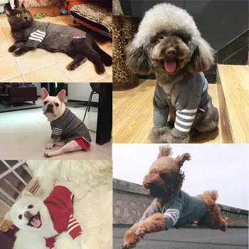 Yüksek Kaliteli Pet Kazak Giyim Küçük Köpekler İçin Yavru Kedi Örgü Kazak Giyim Chihuahua Kış sıcak tutan kaban Ceket Mont 2