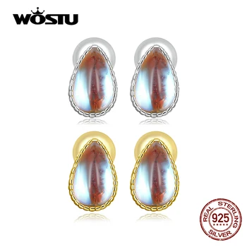 WOSTU 925 Ayar Gümüş Moda Su Damlacıkları Saplama Küpe Lüks Altın Kaplama Nanoston Kulak Çıtçıt Kadınlar için Tüm Maç Takı