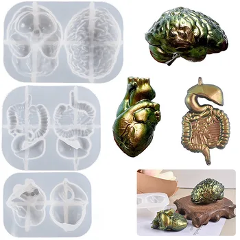 DIY Kristal Epoksi Reçine Kalıp İnsan Vücudu Üç boyutlu Viscera Beyin Kalp silikon kalıp 1